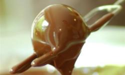 Chocolate Making